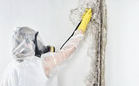 Best Mold Removal for HVAC Installations  in Wildwood Lake, TN